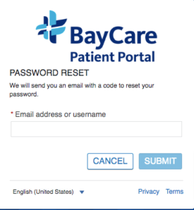Baycare Patient Portal Forget Passwords